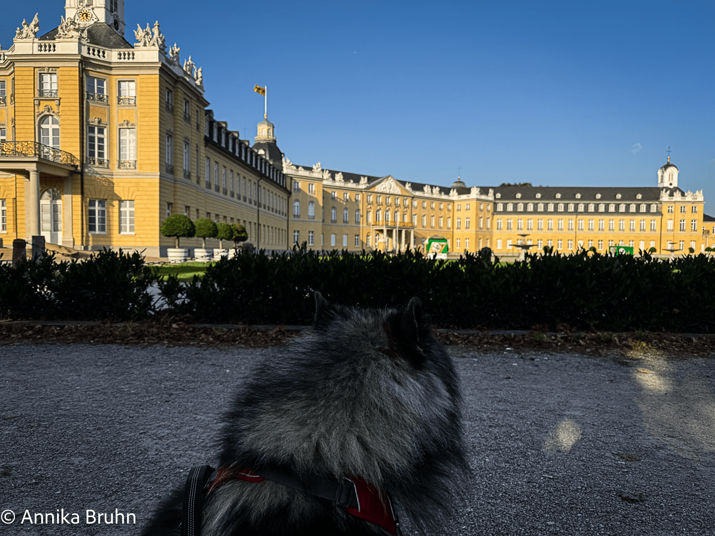 Q schaut sich das Karlsruher Schloss an